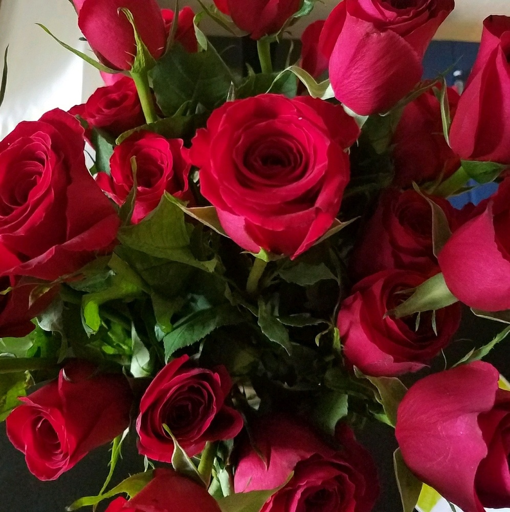 Meet your Posher, Suparni